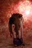 Thumnail / 2 / 24 / 28